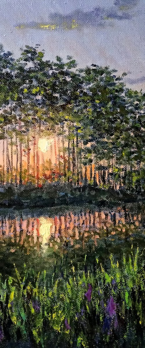 Pond on the edge of the forest by Oleh Rak