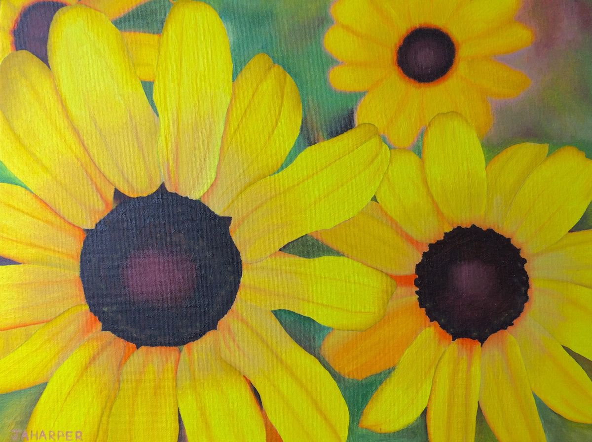 Photorealistic Botanical Oil Painting By Jill Ann Harper, 18 X 14, Black Eyed Susans, Original Artwork