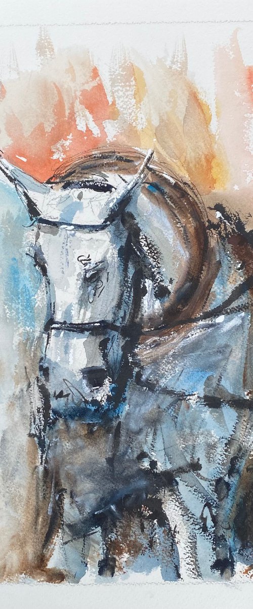 A working horse… by Paul Mitchell