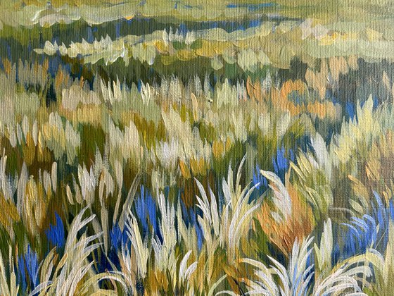Summer Fields II