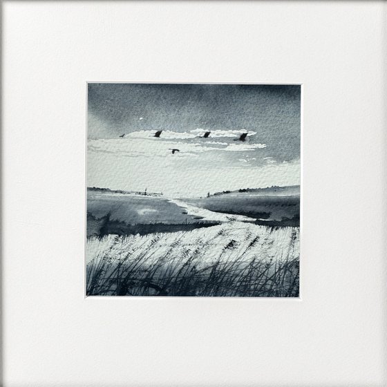 Water fowl over marshes