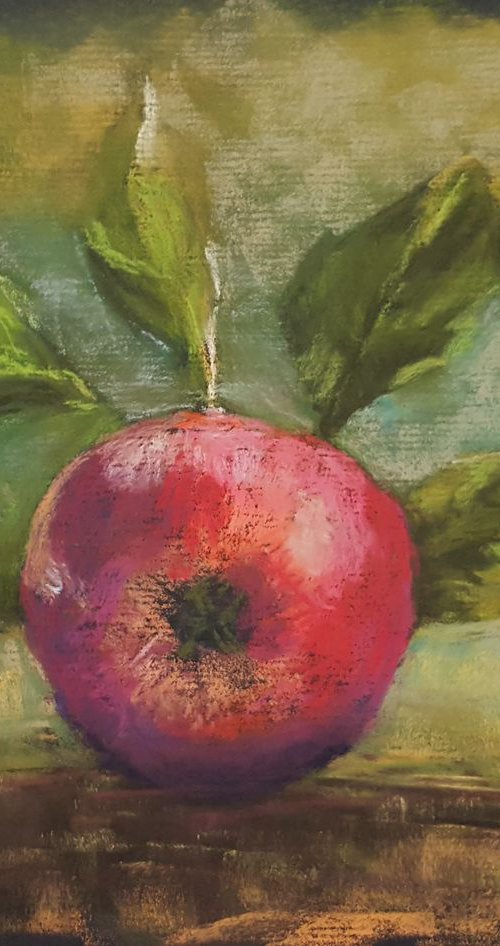 Fresh Energy - ORIGINAL SOFT PASTEL PAINTING of red apple by Monika Wisniewska Amaviael