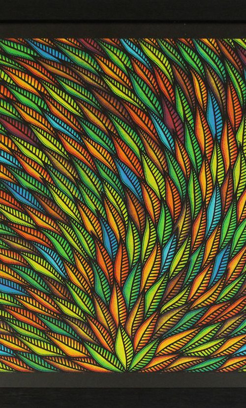 Flamboyant by Jonathan Pradillon