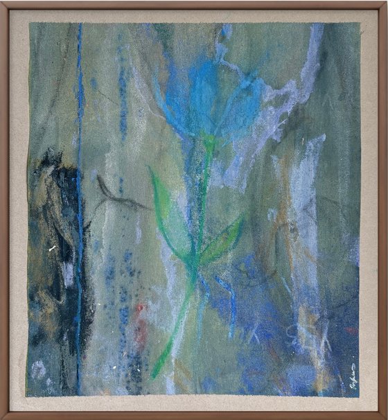 Bloom 5