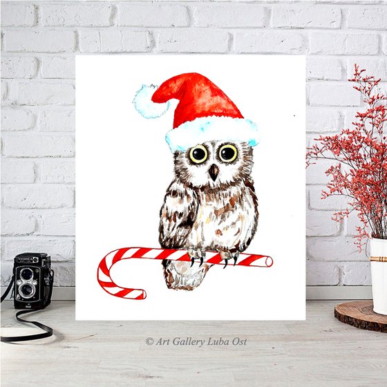 Owl, Merry Christmas
