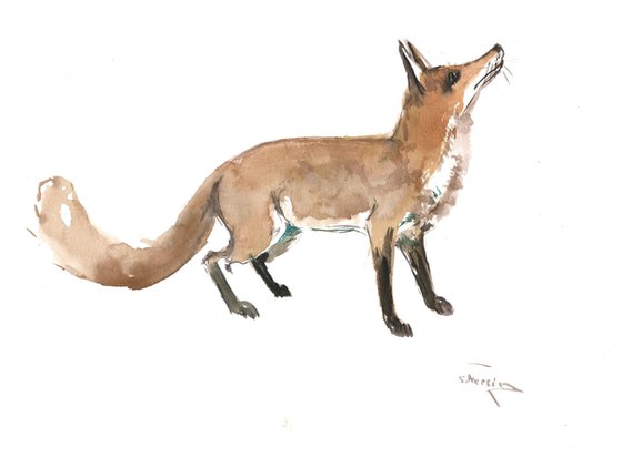 Fox Animal Illustration