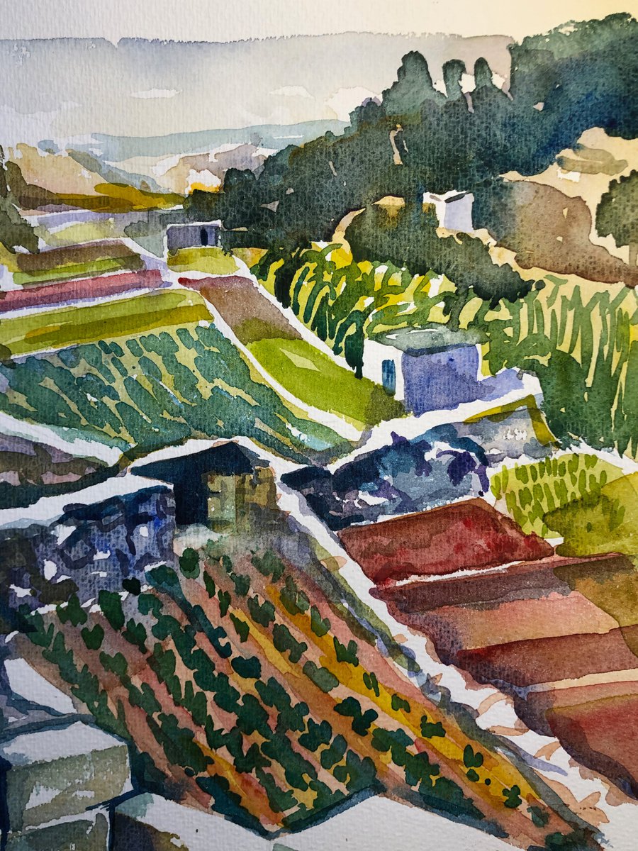 Agricultural terraces - Gozo by Annie Meier