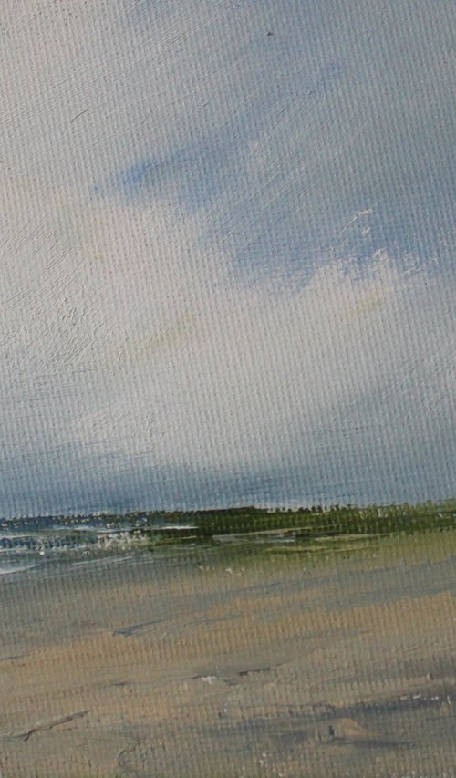 Along the shore by John Halliday