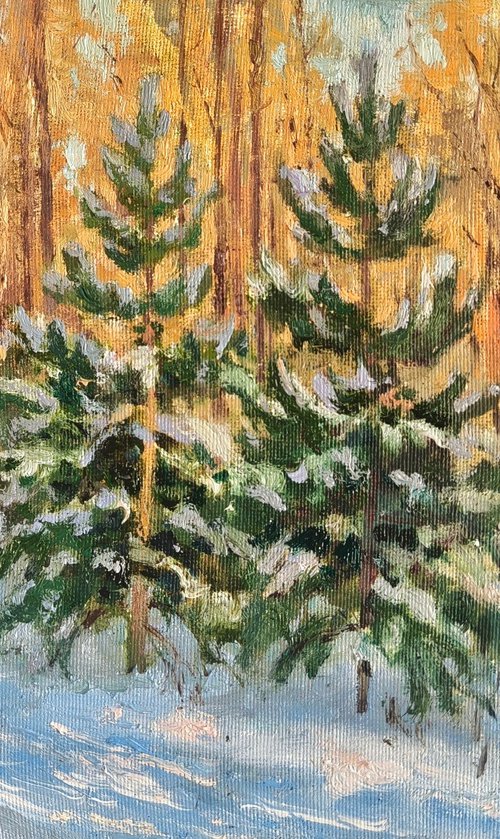 A frosty day in the park by Olga Goryunova