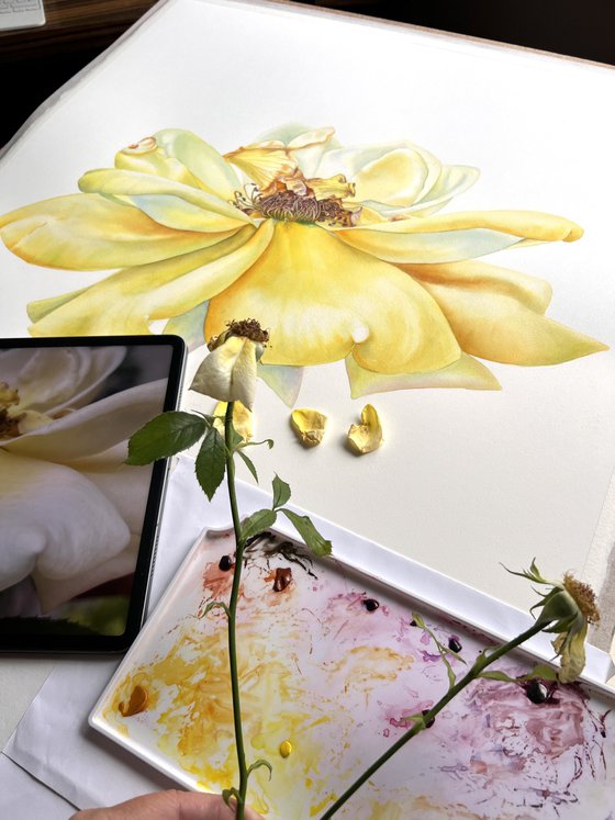 Greetings to the sun