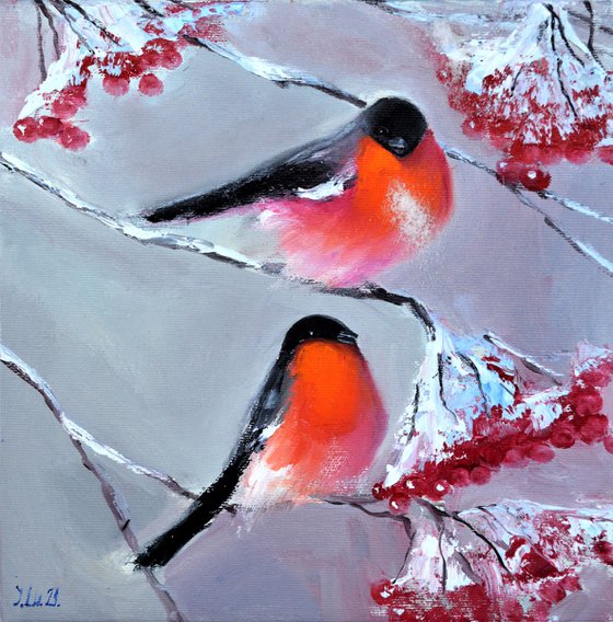 Bullfinches in winter