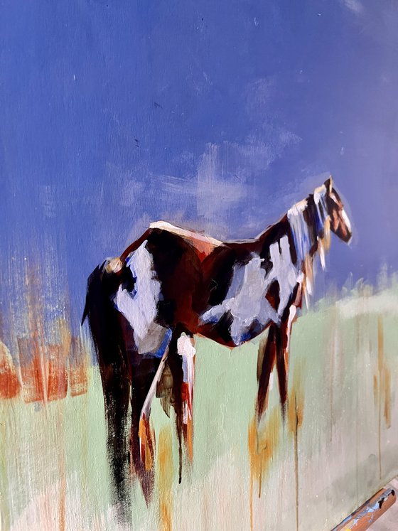 Horse with no Name