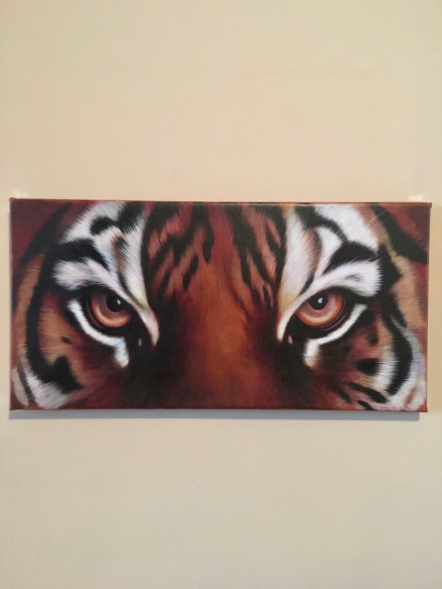 Large Tiger Eyes by Karl Hamilton-Cox