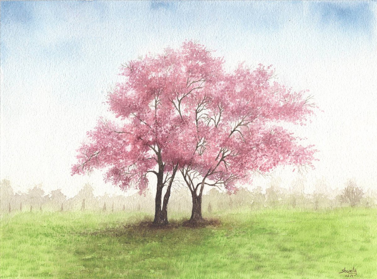 Cherry Blossom Trees Watercolour Painting by Shweta Mahajan