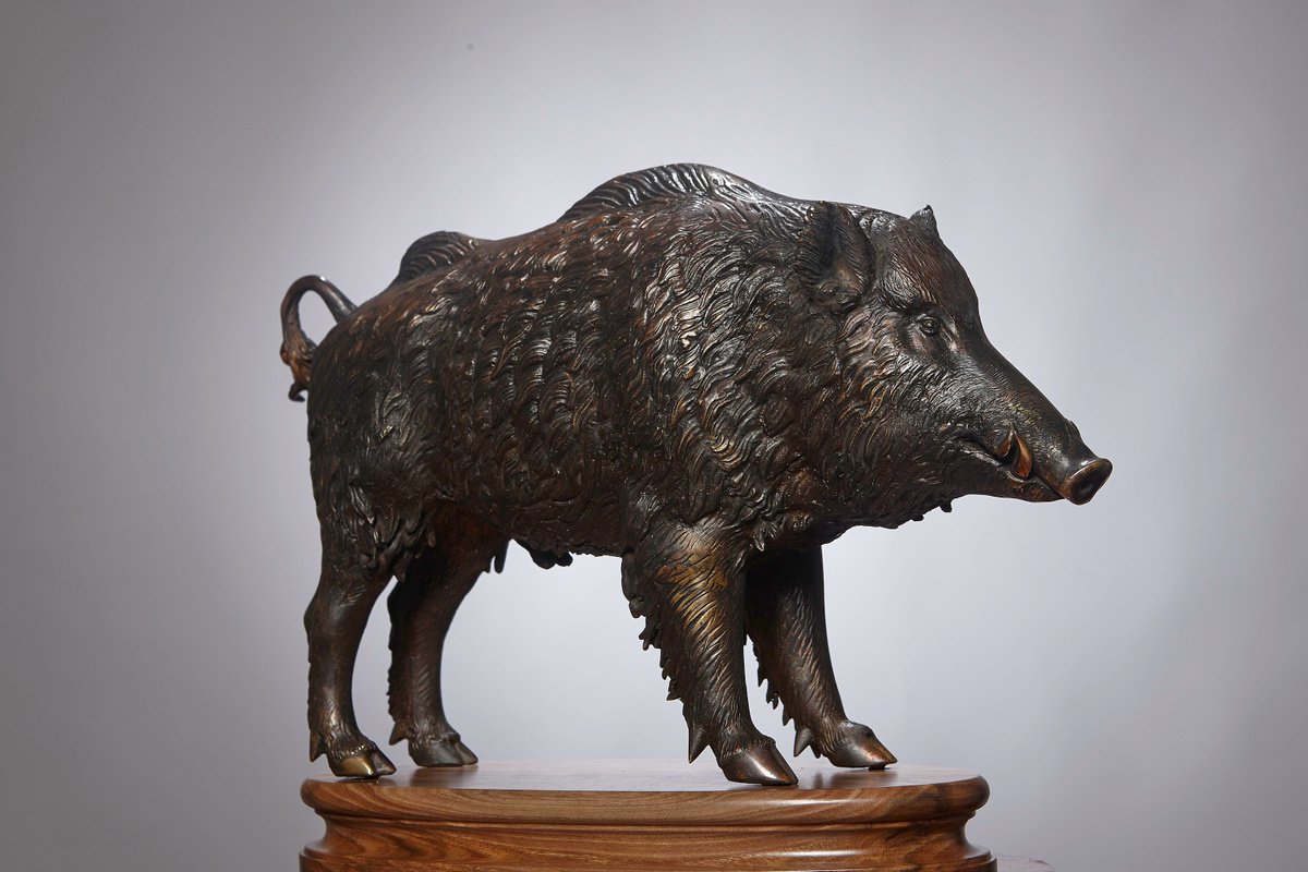 Wild Boar by Krasimir Krastev