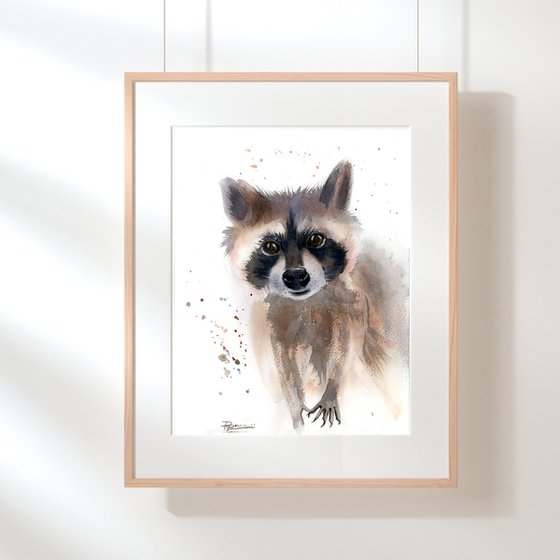 Raccoon