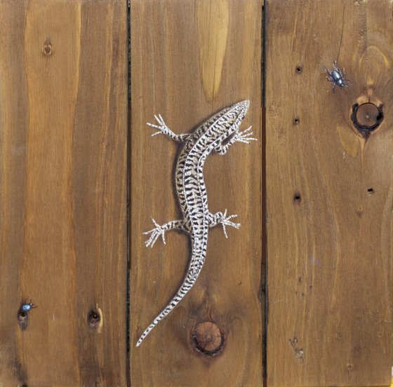 Lizard on recycled wood