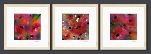 Floral Dream Collection 2 - 3 Framed Paintings by Kathy Morton Stanion