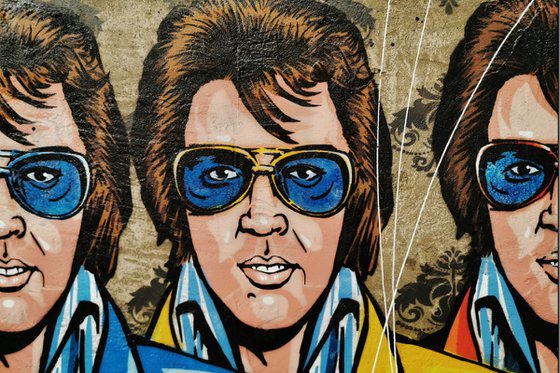 The 6 Faces of Elvis 200cm x 80cm Concrete Texture Urban Pop Art