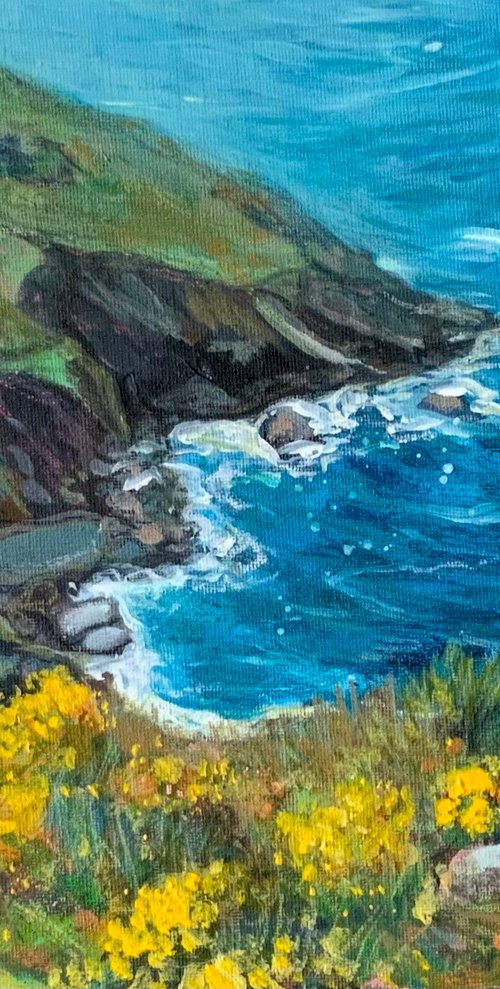 Cornish Cove by Janice MacDougall