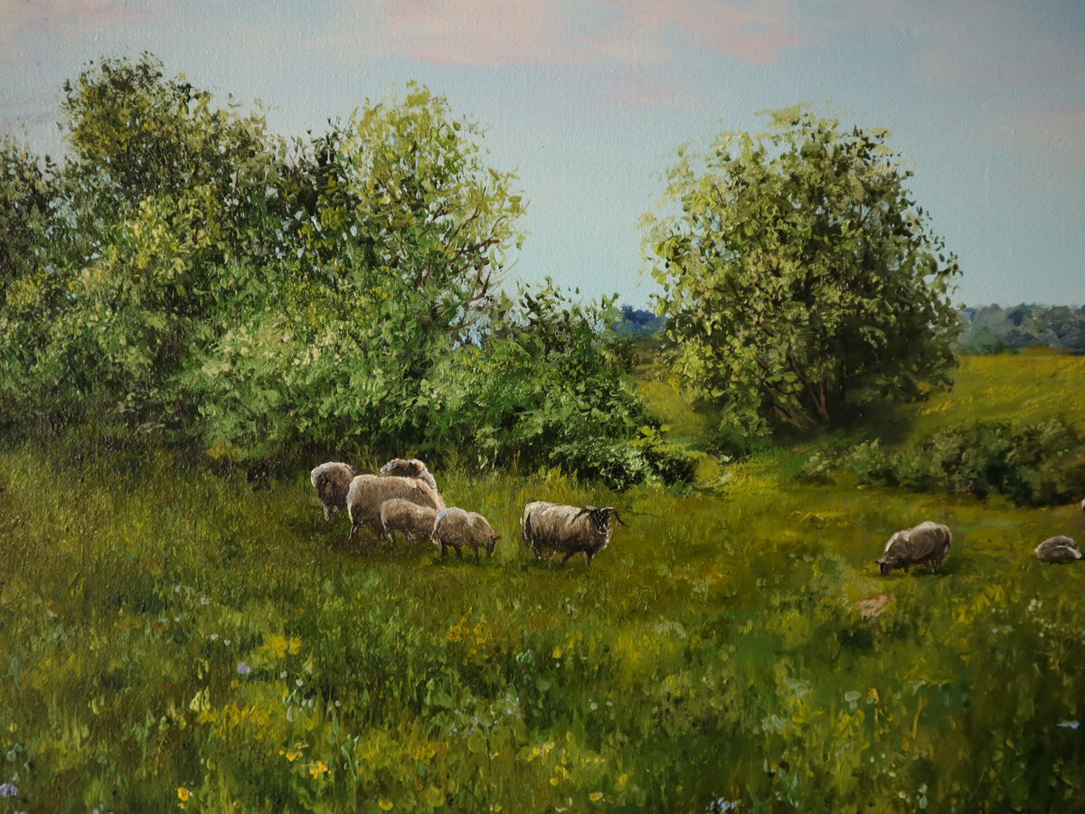 Sheep Grazing On Ranch Meadow by Natalia Shaykina