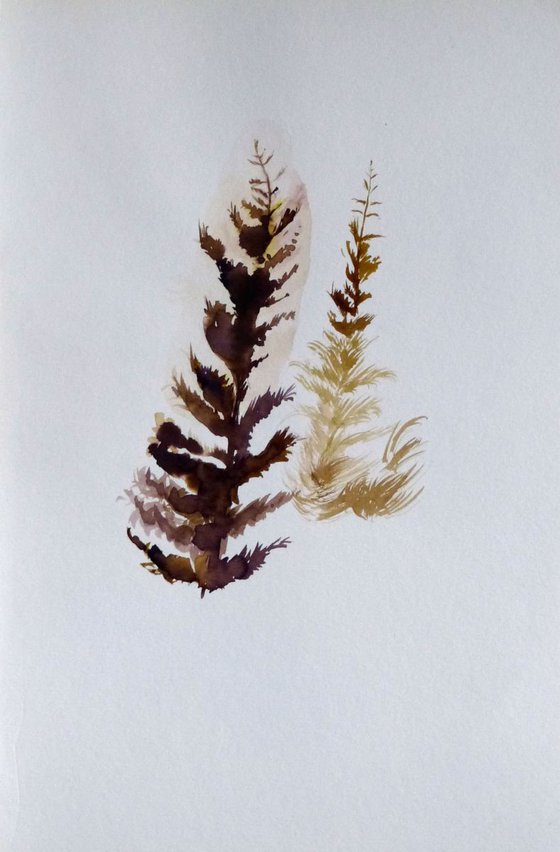 Pine Wood Study 6, 24x16 cm