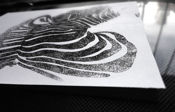 Zebra: Monochrome, Framed Artwork, 16 x20 inches,