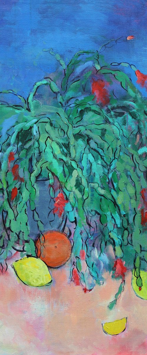 Schlumbergera by Artem Andreichuk