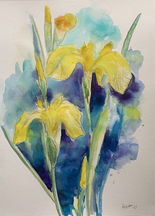 Yellow Iris by Olga Pascari