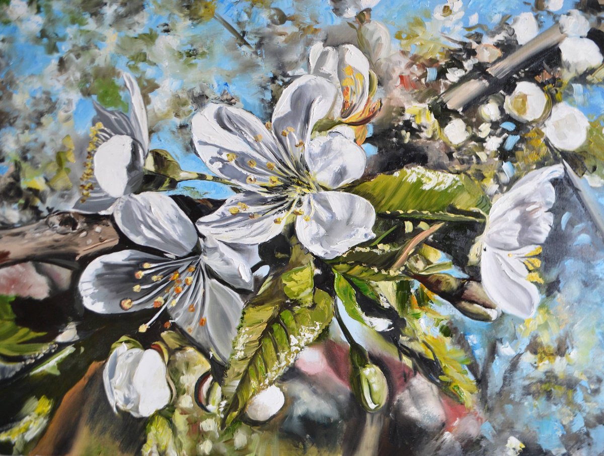 Botanical Oil Painting By Valeriia Radziievska, 31 X 24", Cherry Blossom, Original Artwork
