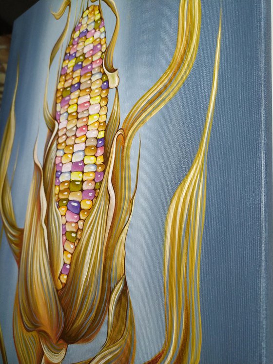 Queen of the fields (Indian corn)