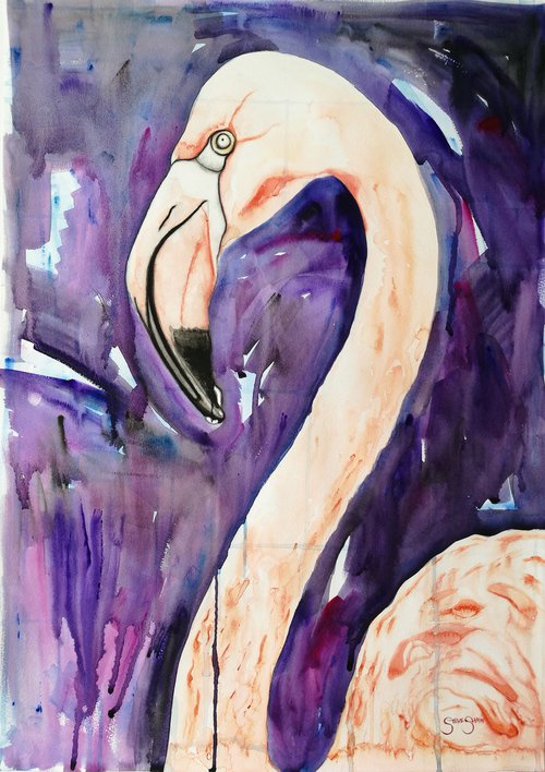 Flamingo. On paper. 42cm x 59.4cm. Free Shipping. by Steven Shaw