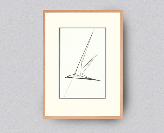 Seagull