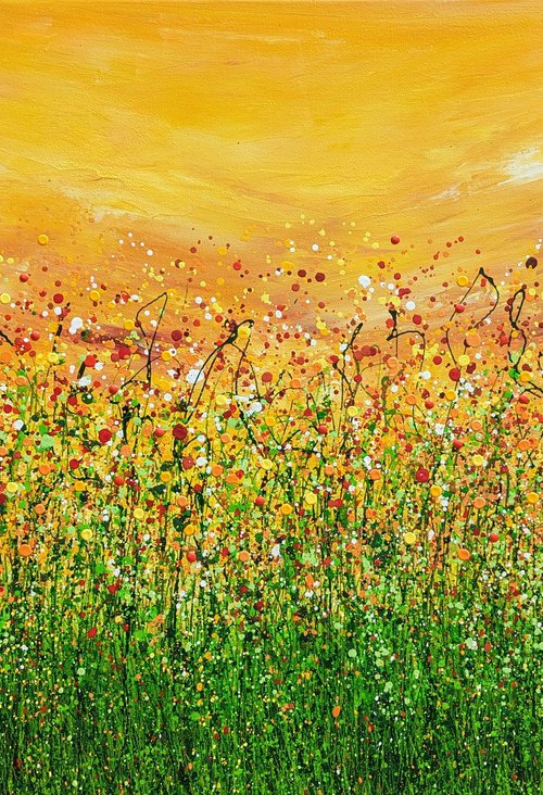 Phoenix Sky Meadows by Lucy Moore