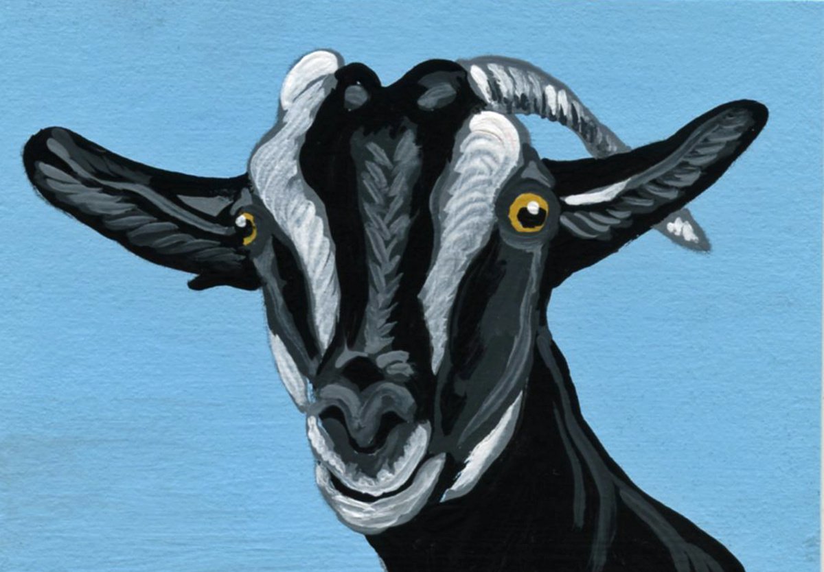 Goat Pet by Carla Smale