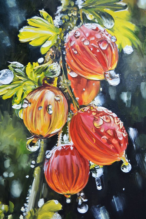 Gooseberry Lanterns
