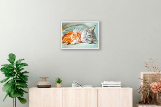 Sleeping Cat and Kitten
