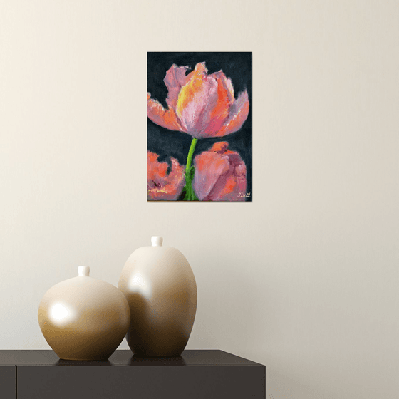 Coral tulips 1