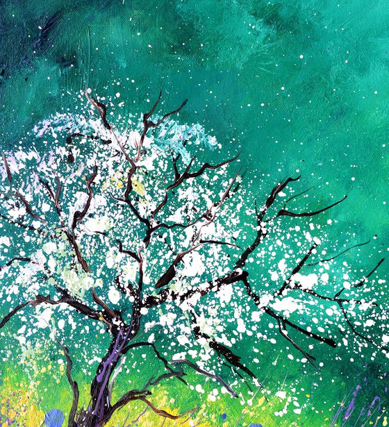 Appletree in spring