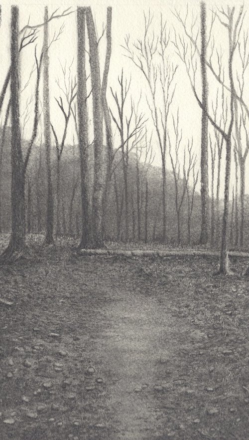 Forest Trail by Shweta  Mahajan