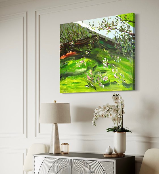 Where light takes root