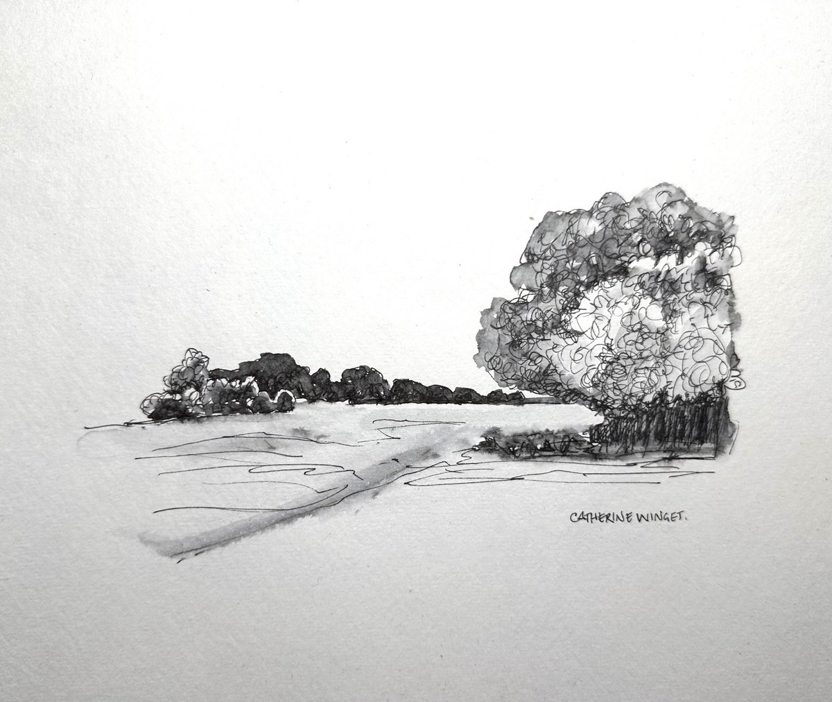 Landscape Ink Drawing By Catherine Winget, 9 X 8, Trees In Pen And Ink - Norfolk Landscape English Countryside, Artfinder