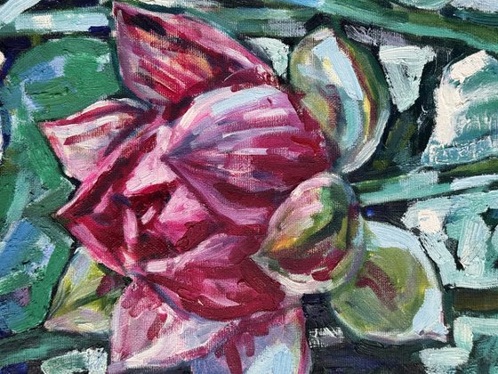 Water lilies