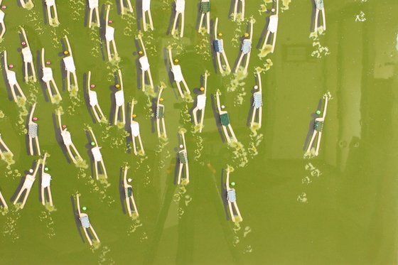 Swimmers 193 Heart at Cambodia green Sea