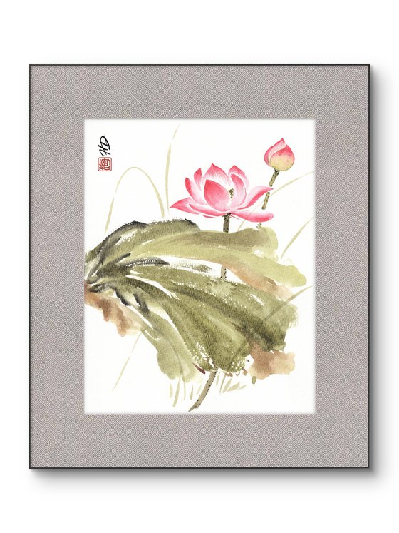Lotus After the Rain