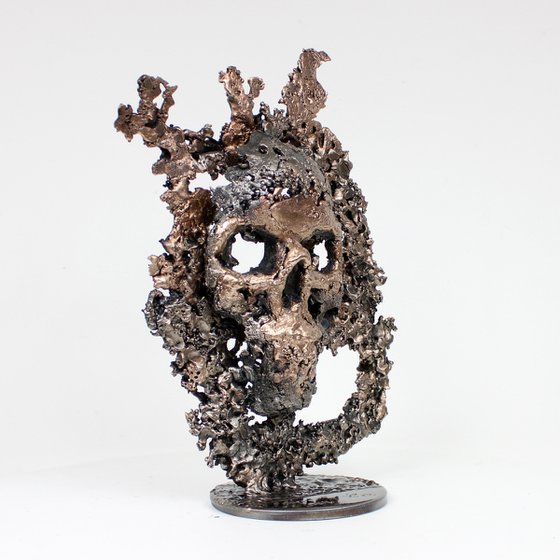 Skull mountain 51-22 - Skull in steel and bronze on a lace metal