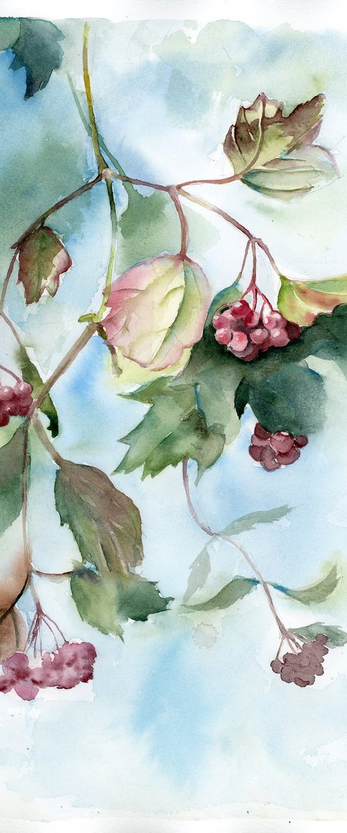 Branch with red berries by Olga Tchefranov (Shefranov)