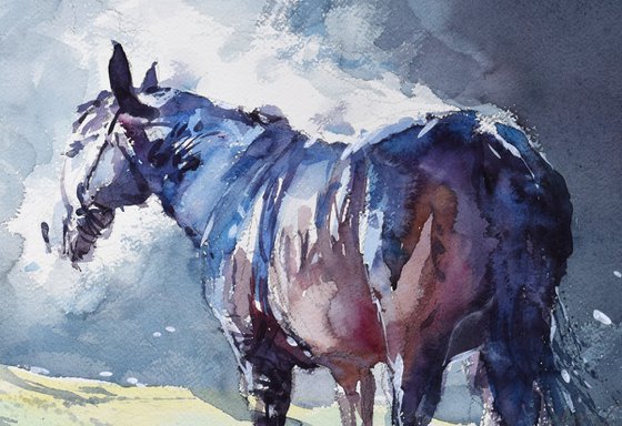 Horse steam 5