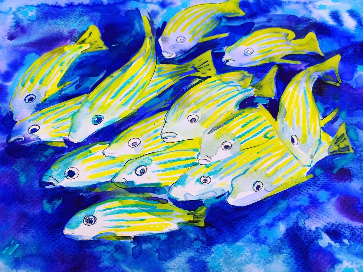 Caribian fish by Olga Pascari