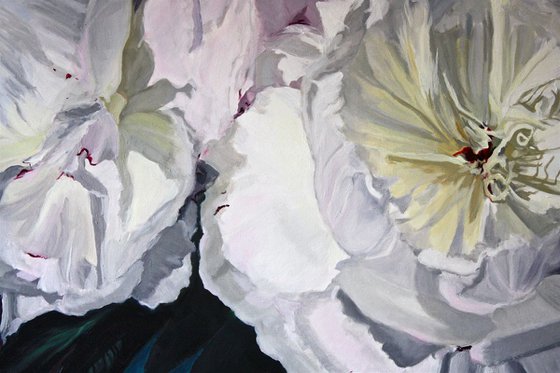 Peonies in Evening Light